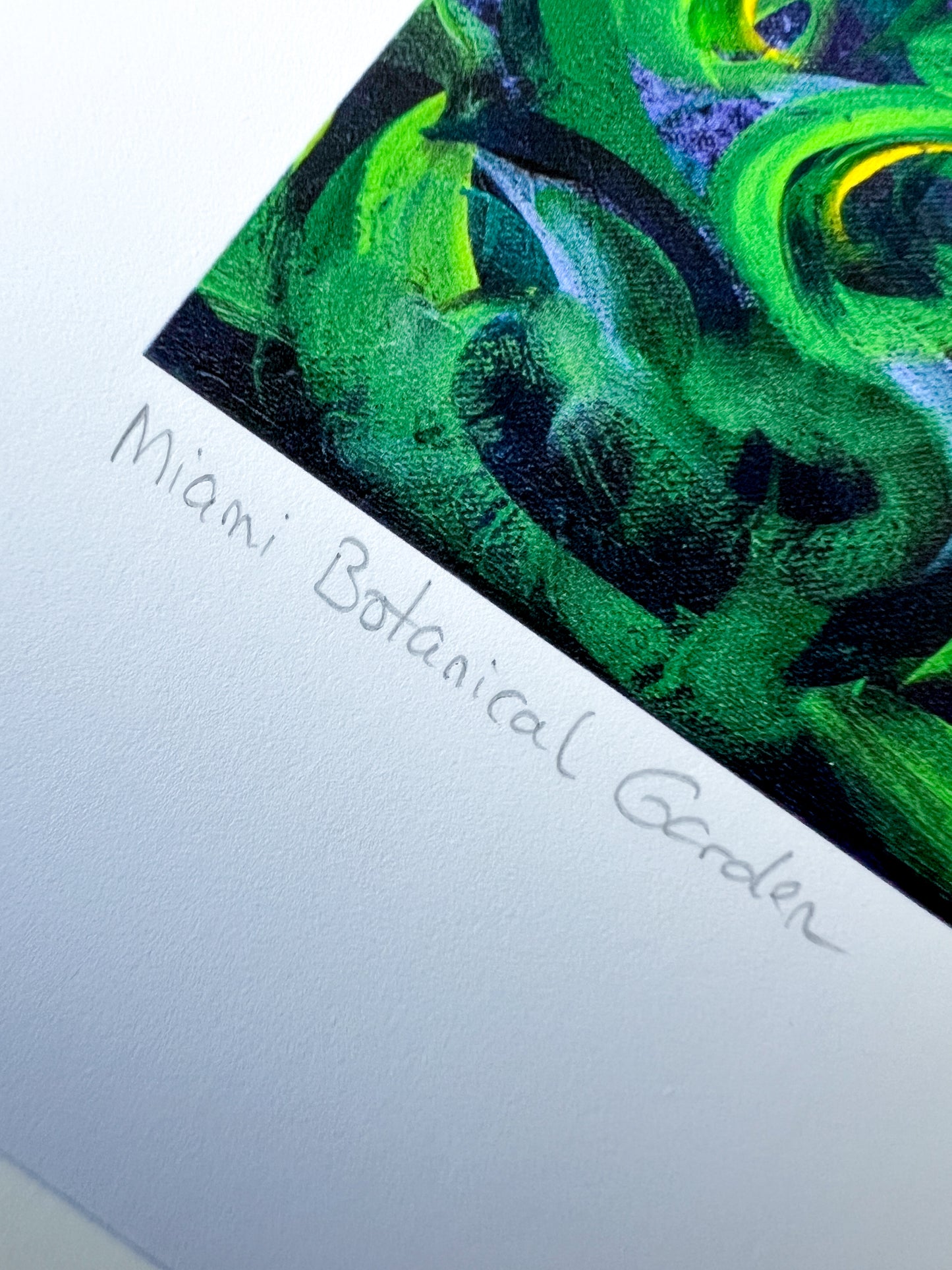 Miami Botanical Garden Art Print