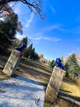 Load image into Gallery viewer, Fu Dog