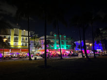 Load image into Gallery viewer, Miami Botanical Garden Art Print