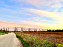 Load image into Gallery viewer, Stillness Art Print