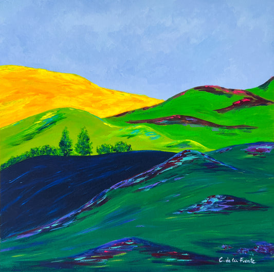Colorado Mountains Art Print