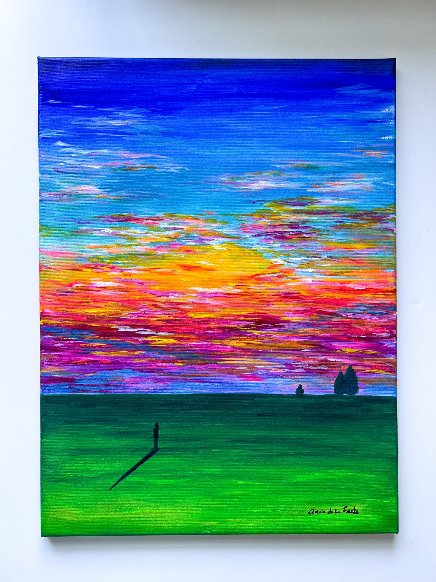 Sunset in the Fields