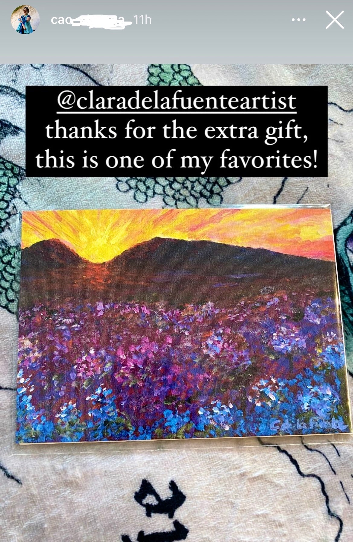 Montana Fields Art Print