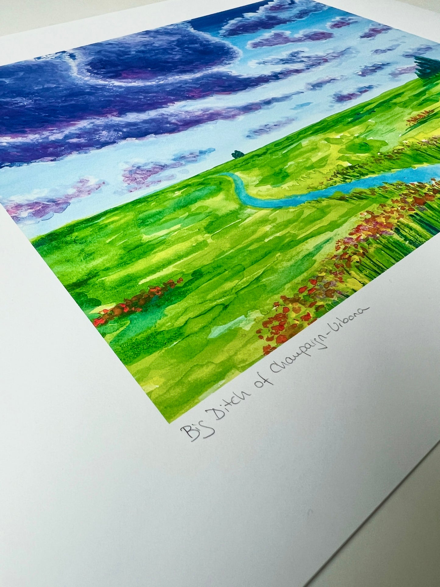 Big Ditch of Champaign Urbana Art Print