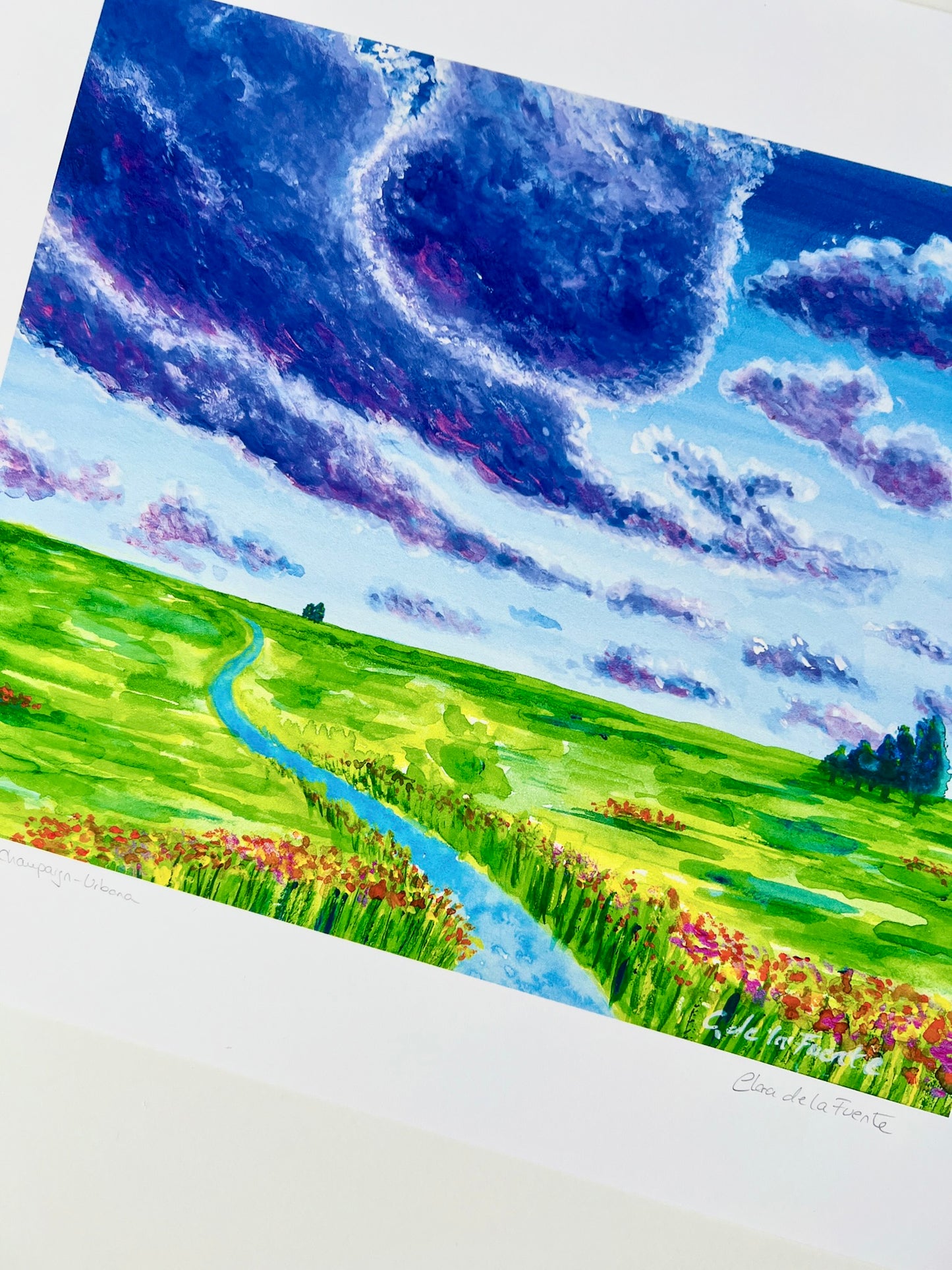 Big Ditch of Champaign Urbana Art Print
