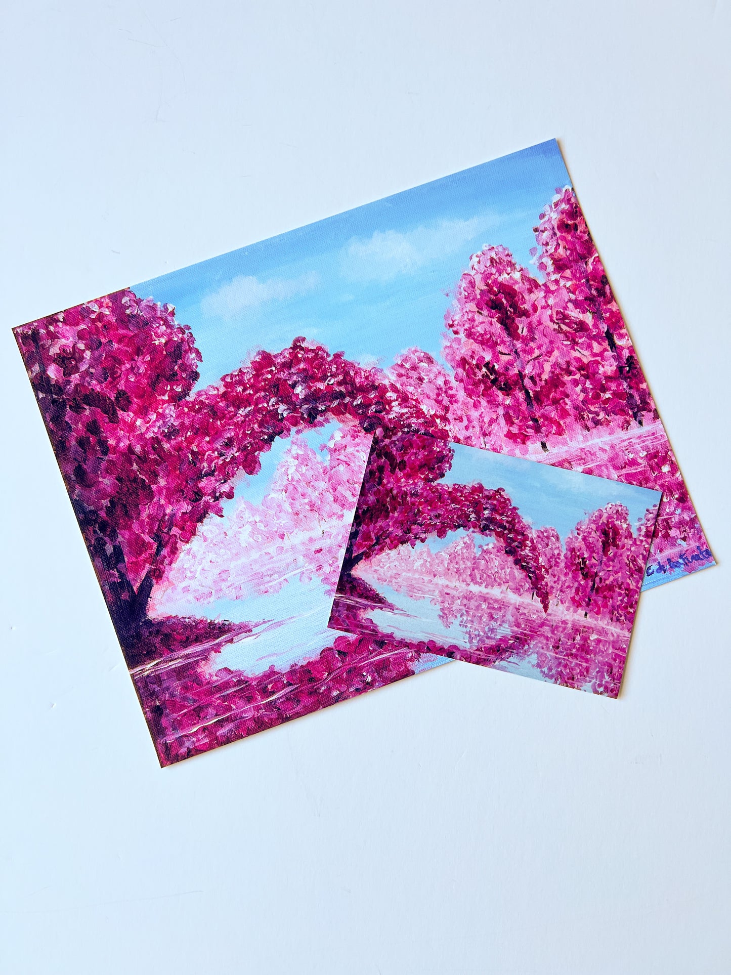Cherry Blossoms Art Print