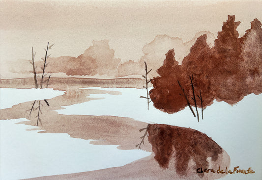 Winter Reflections Art Print