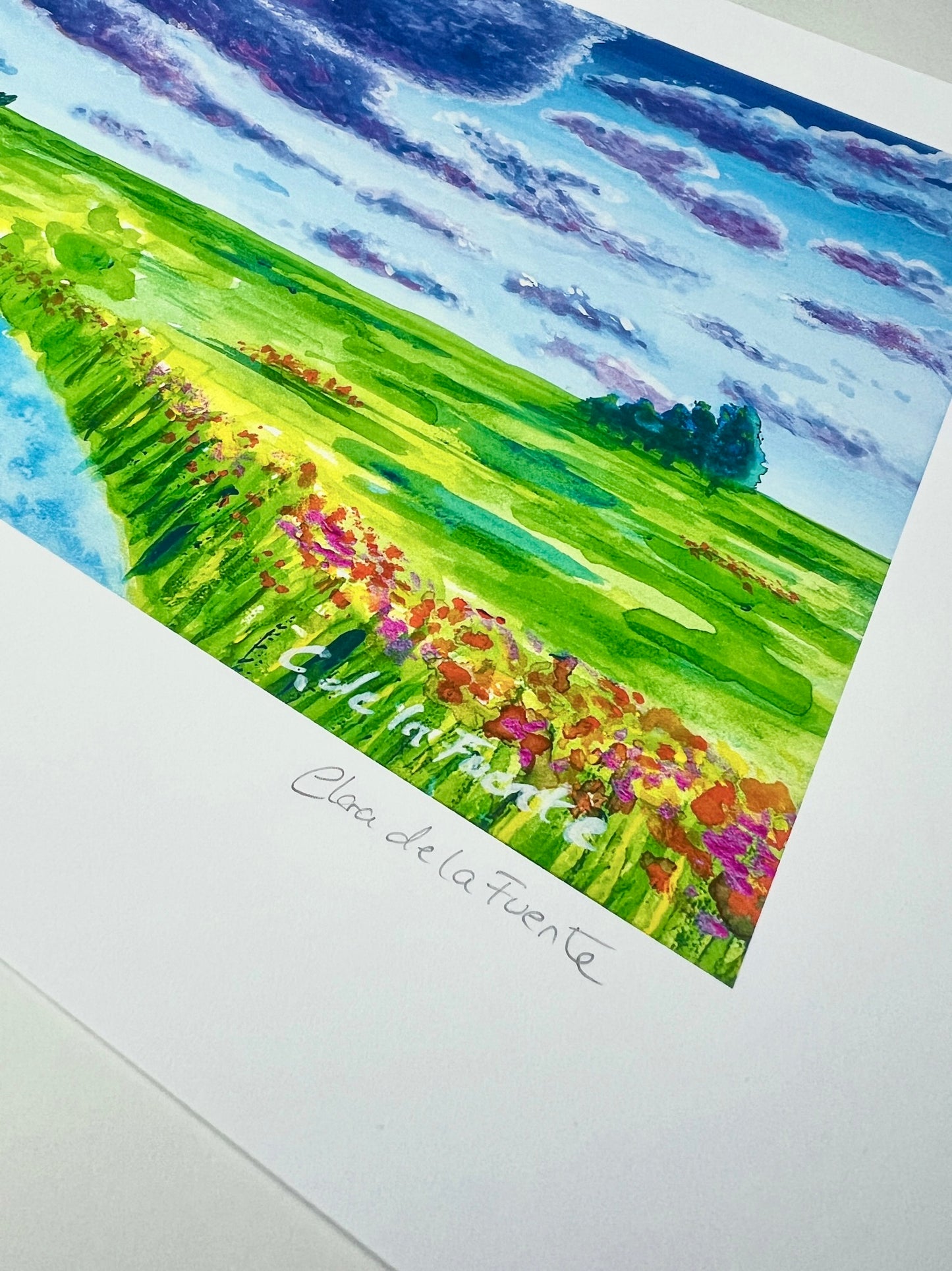 Big Ditch of Champaign Urbana Art Print