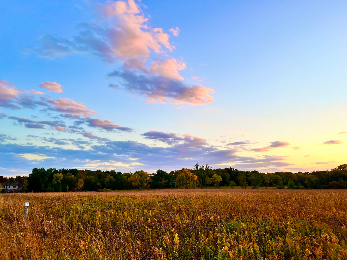 Sunset at Meadowbrook Park Art Print
