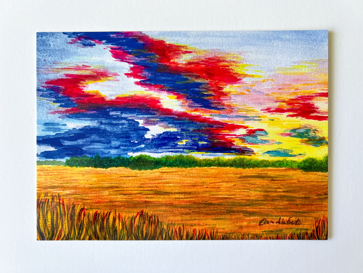 Sunset at Meadowbrook Park Art Print