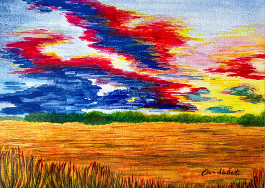 Sunset at Meadowbrook Park Art Print
