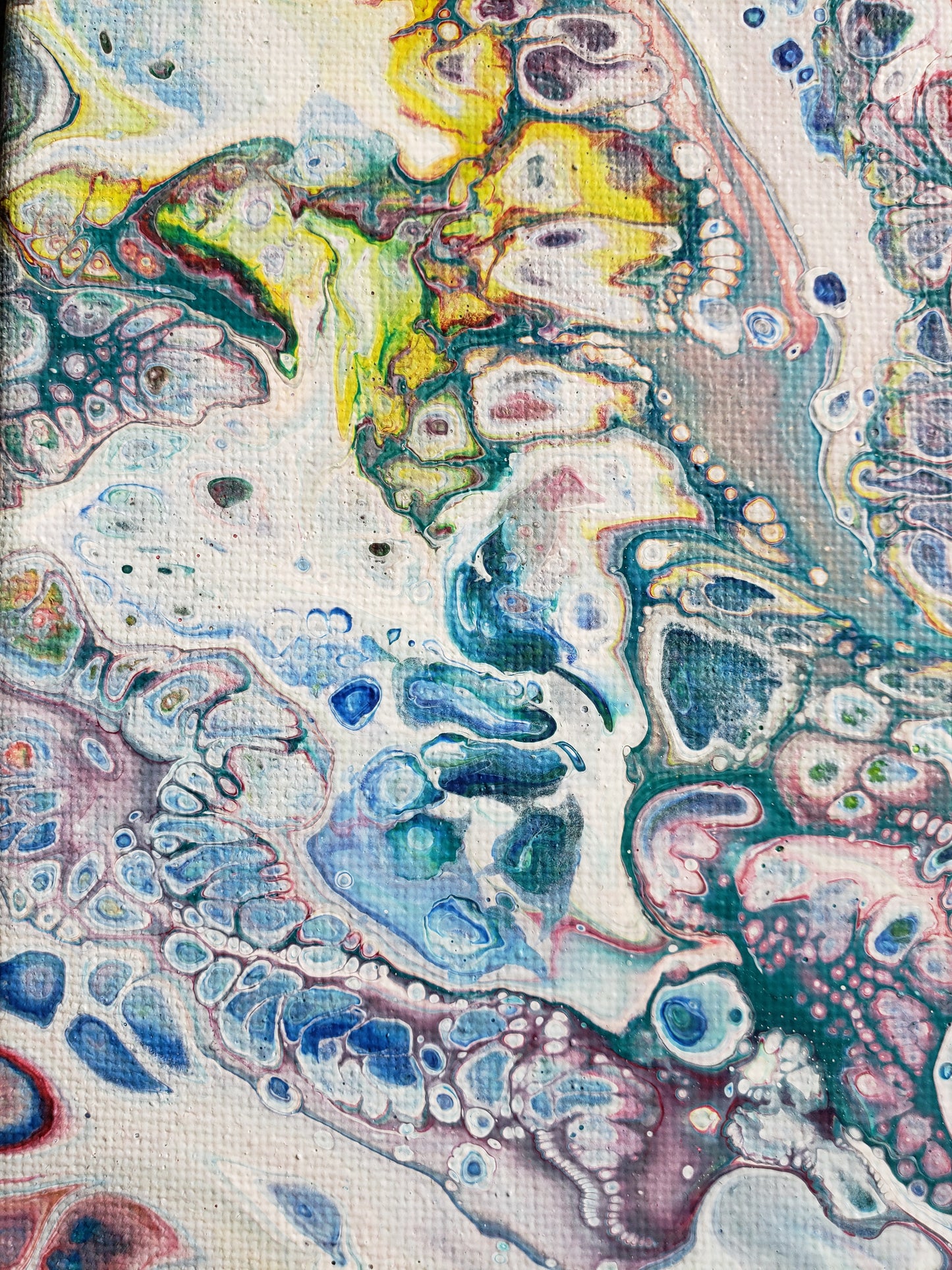 Close up of Coral Reef by Clara de la Fuente