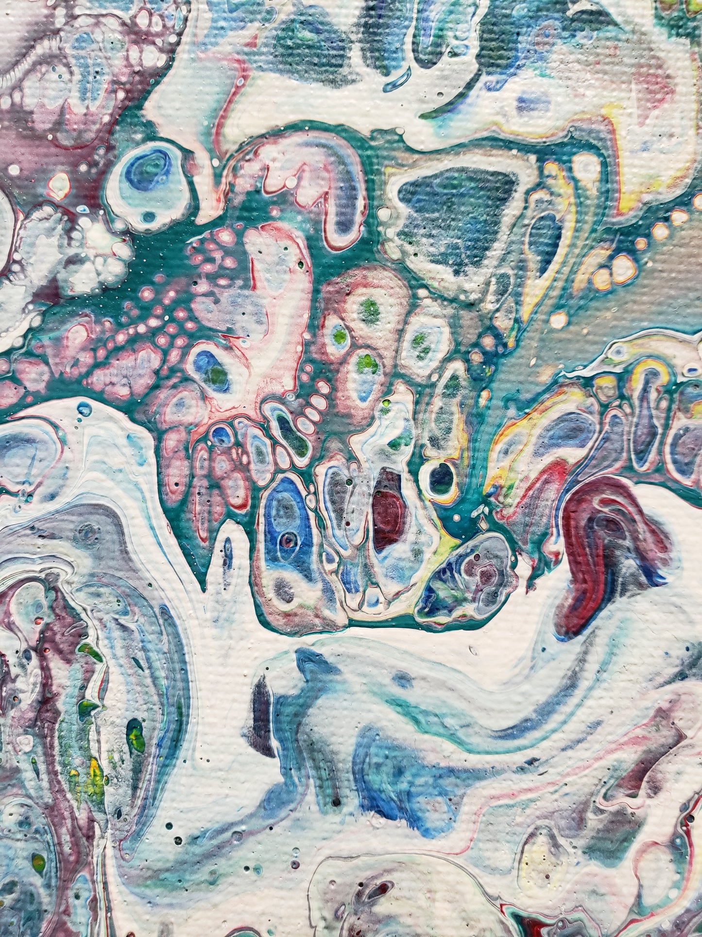 Close up of Coral Reef by Clara de la Fuente