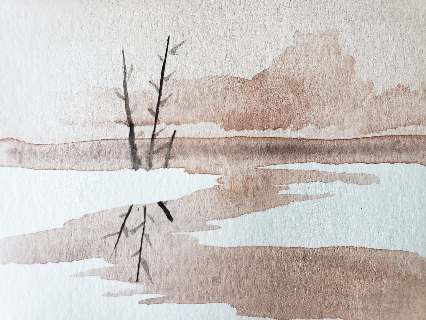Winter Reflections
